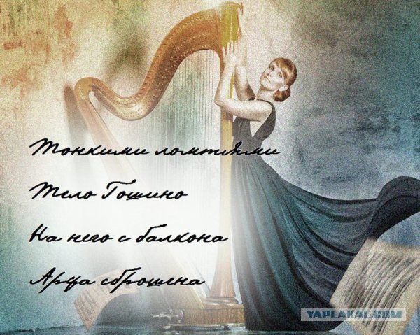 Чернь и деградация к выходным