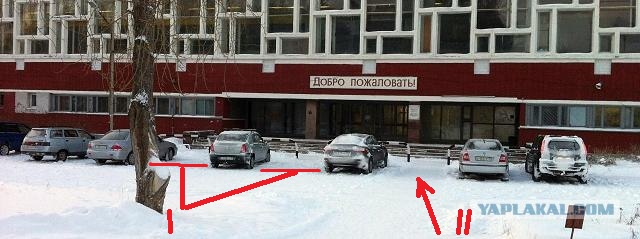 Хамов по-хамски учат