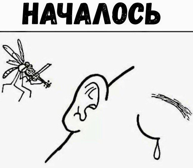Прикольные картинки обо всем