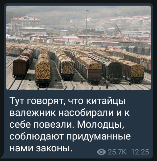 Сначала отдали китайцам лес кругляк, теперь отдаем золотодобычу