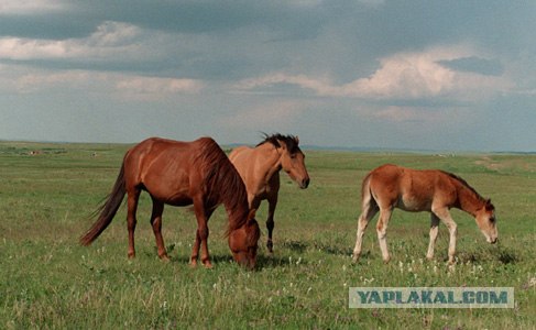 Конец американской легенды?