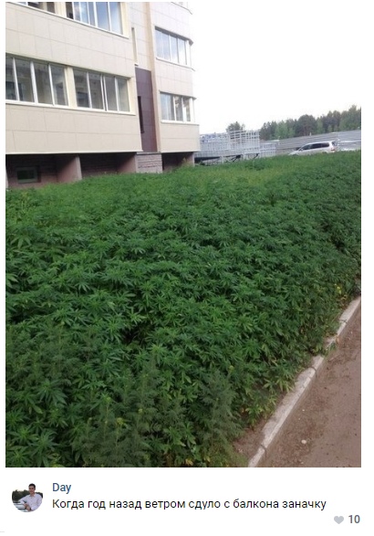 Прикольные картинки абавсём