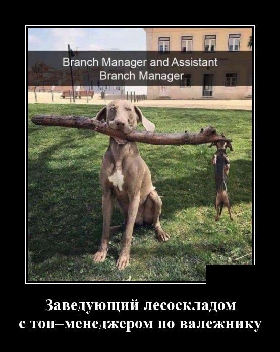 Подборка интересных и веселых картинок