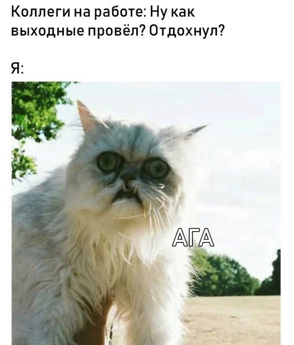 Нестандартный юмор