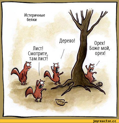 В школу платный вход. Приехали