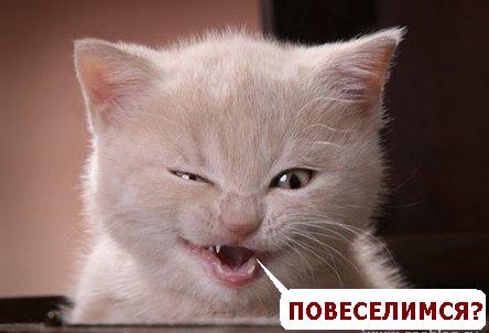 Битва Фотожаберов №8