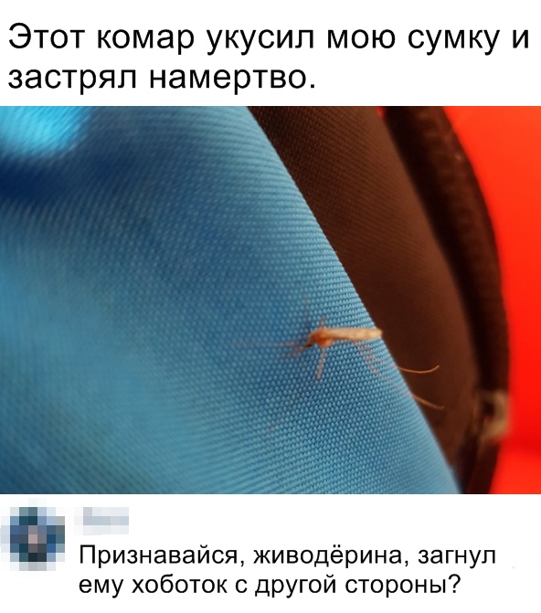 Скоро полетят кровопивцы. Пару советов от народа