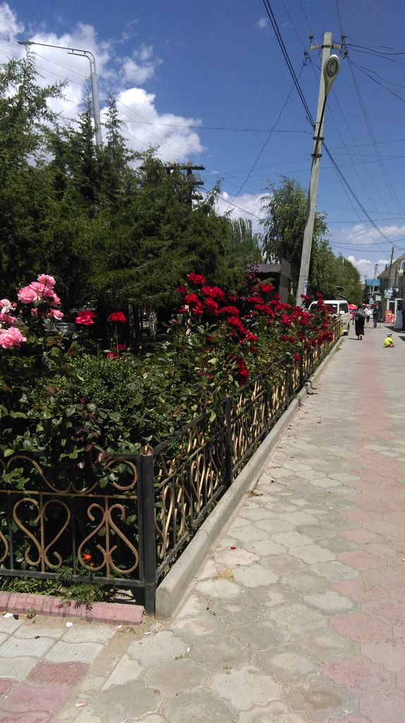 Автопробег Томск-средняя Азия. Лето 2019