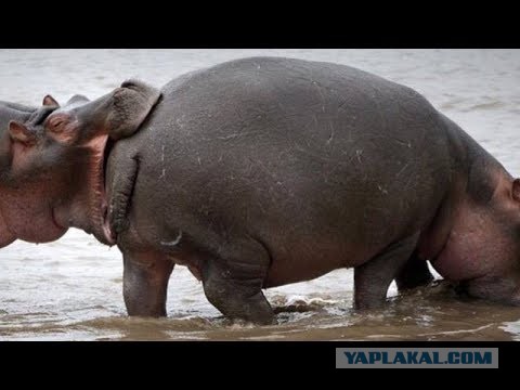 Женщины подсознательно желают быть изнасилованными?