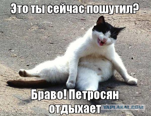 Хотел сдохнуть за Россию +18