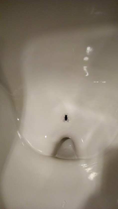 Туалеты мира