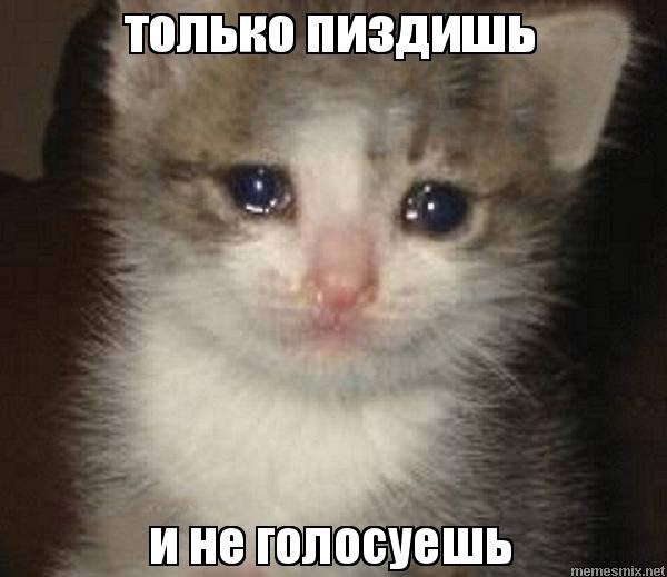 Голосуй или…