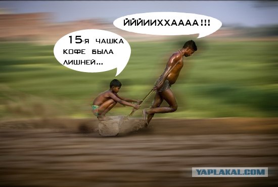 Фотожаба: Это не санки!
