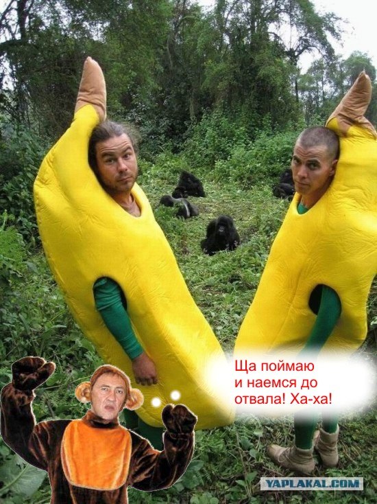 Друзья обезьян