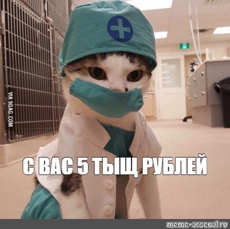 10 лет брака псу под хвост