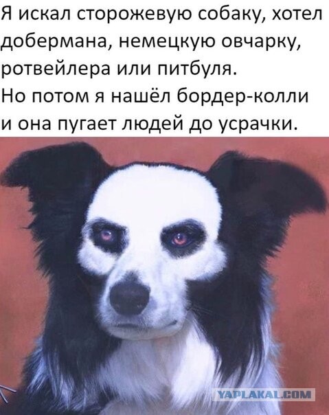 Бредзона 09.09.2020