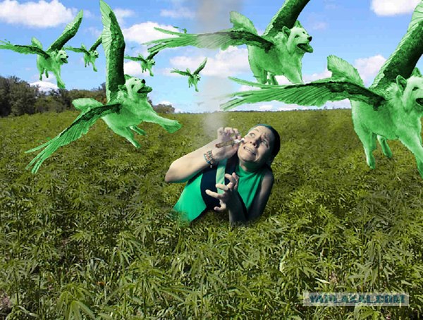 Фотожаба: Страх!
