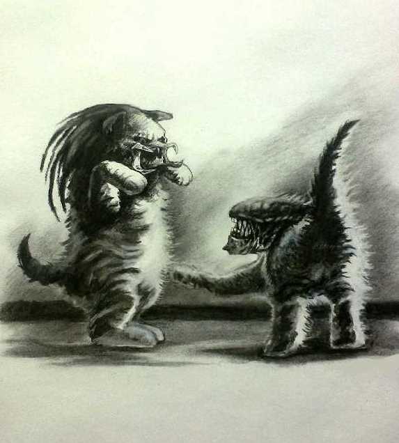 С котопятницей! Улыбнемся?
