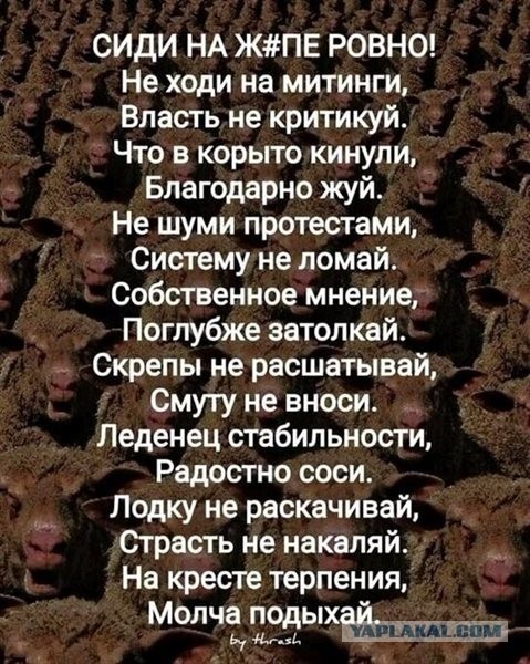 Посольство США опубликовало места и время митингов в России 23 января
