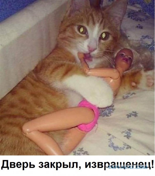 Встречаем новую неделю. И новый месяц