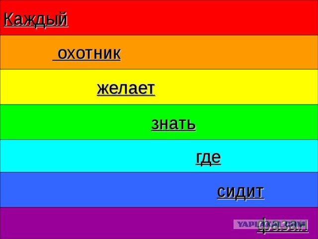 Каждый охотник где сидит фазан тарков
