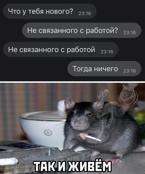Картинки и мемы для настроения