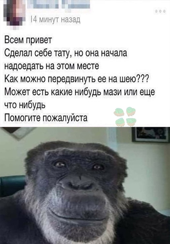 Весёлый полтишок 31.07