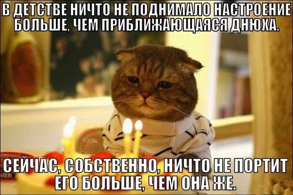 Так себе картинки 30.08.21