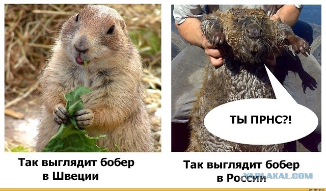 Пандемия. Коронавирус. Россия и мир. Последняя информация. Часть 24