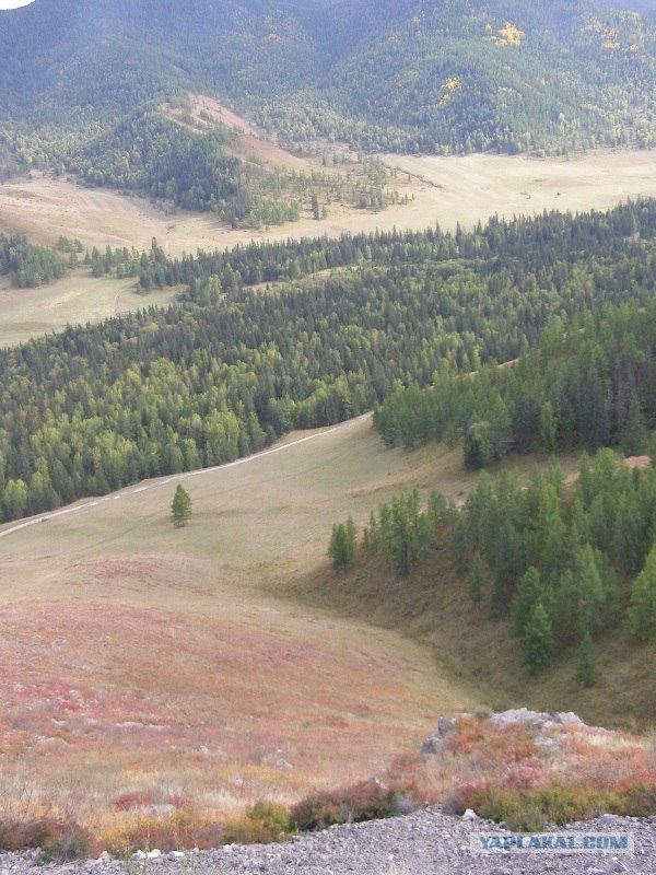 Прогулка по Алтаю