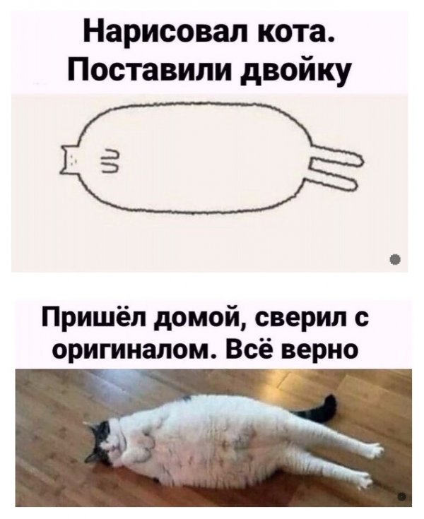 Прикольные и просто красивые картинки 14.03.2022
