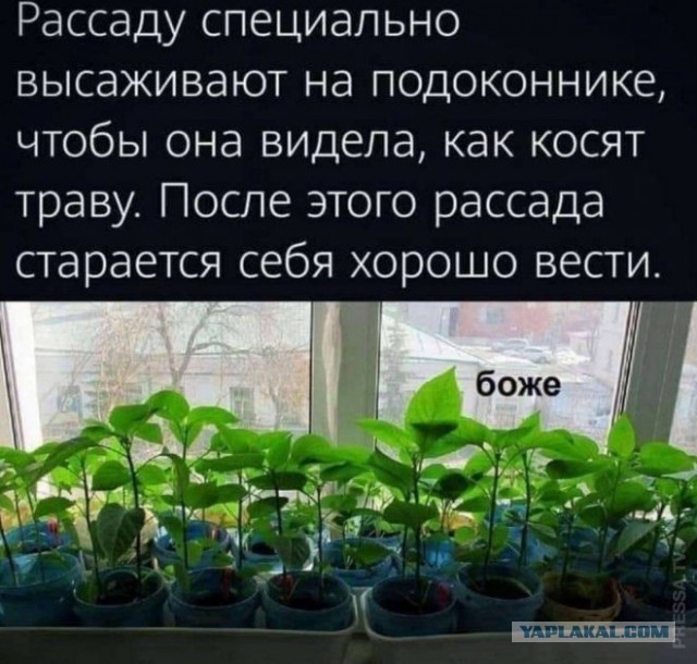 Картинки и мемы, всем отличных выходных
