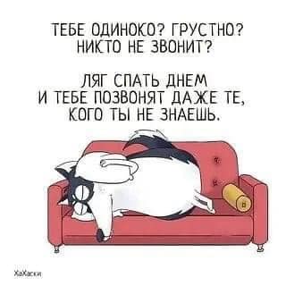 Картинки для улыбнуться #7.0