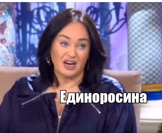 Очевидец снял на видео моменты общения московского единоросса Сергея Богданова и охранника коттеджного поселка