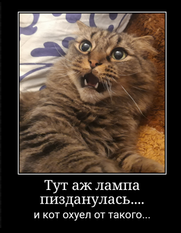 Жена обязана тащить на себе всю семью и переломанного мужа-экстремала?