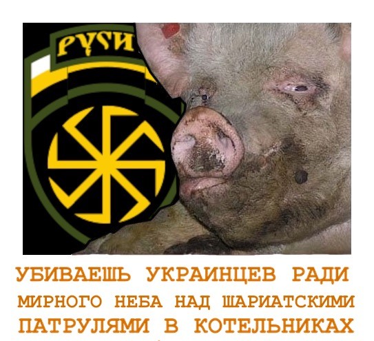 Задержан мигрант, ударивший девушку в Нахабино