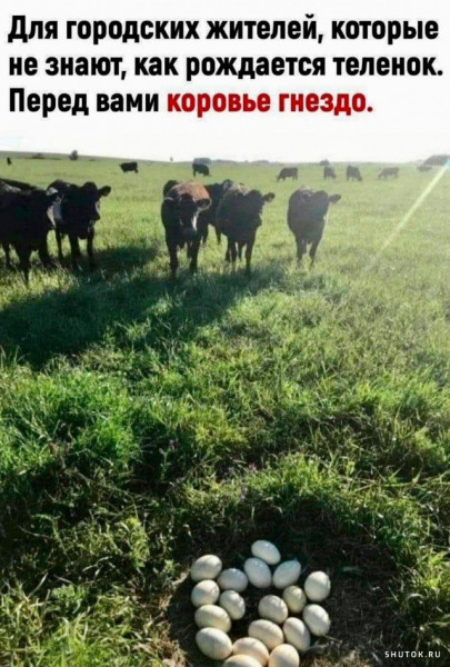 Баяны разной степени давности.