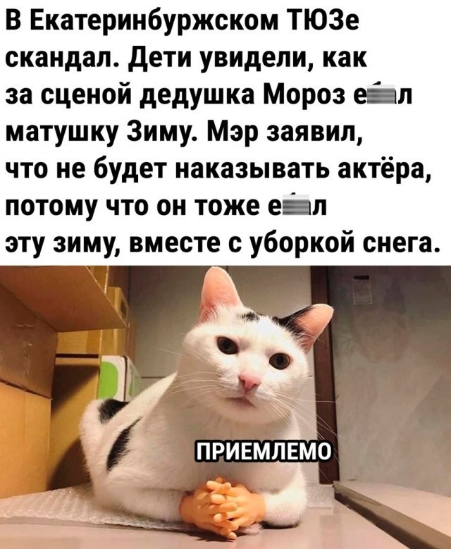 Чуток картинок 10.02.24