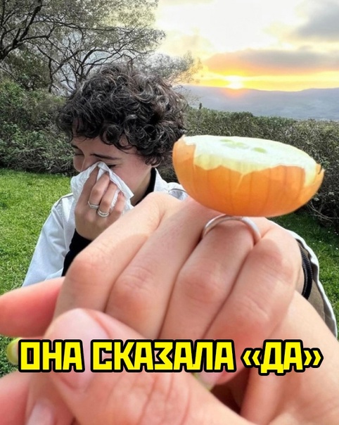 Весёлый полтишок 13.05 24