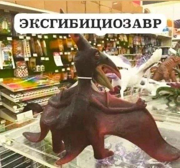 Никакие картинки и такие же тексты