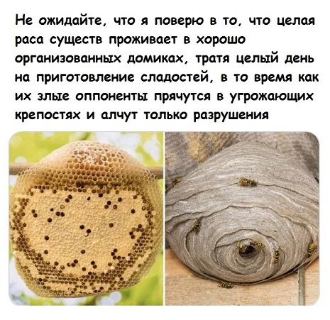 Сегодня четверг