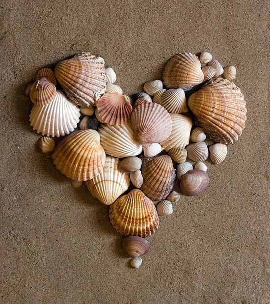Прикольные и просто красивые картинки 13.06.2025