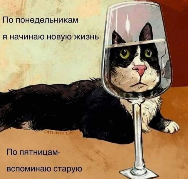 К котовторнику: подборка картинок-баянов с котиками и про котиков. Выпуск 25.