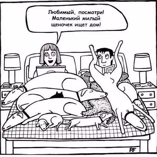 Картиночки, баянчики 19 февраля