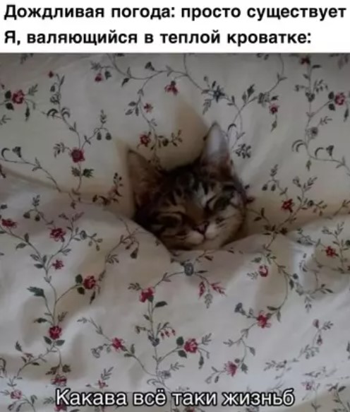 Картиночки, баянчики 27 марта