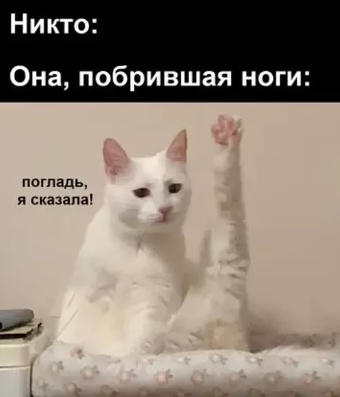 Пакет брать будете?