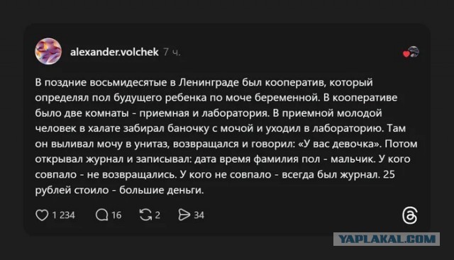 Мне тут доверили...