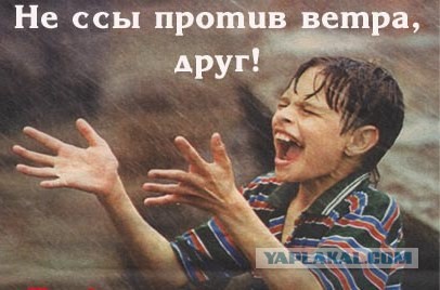 Веллер молодец!
