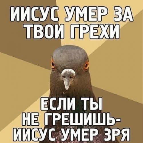 Картинки для деградации 293 (разной степени свежести)