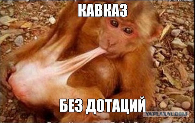 Не поверите, а я рад закону о сепаратизме